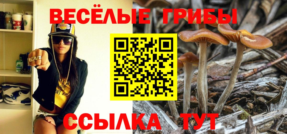 Галлюциногенные грибы Magic Shrooms Коркино